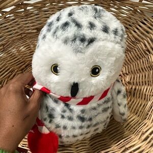 PetSmart Wonder Plush Owl with Scarf